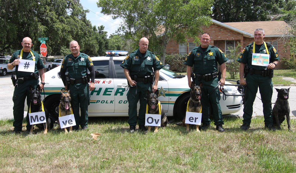 Department Of Law Enforcement | Polk County Sheriff's Office