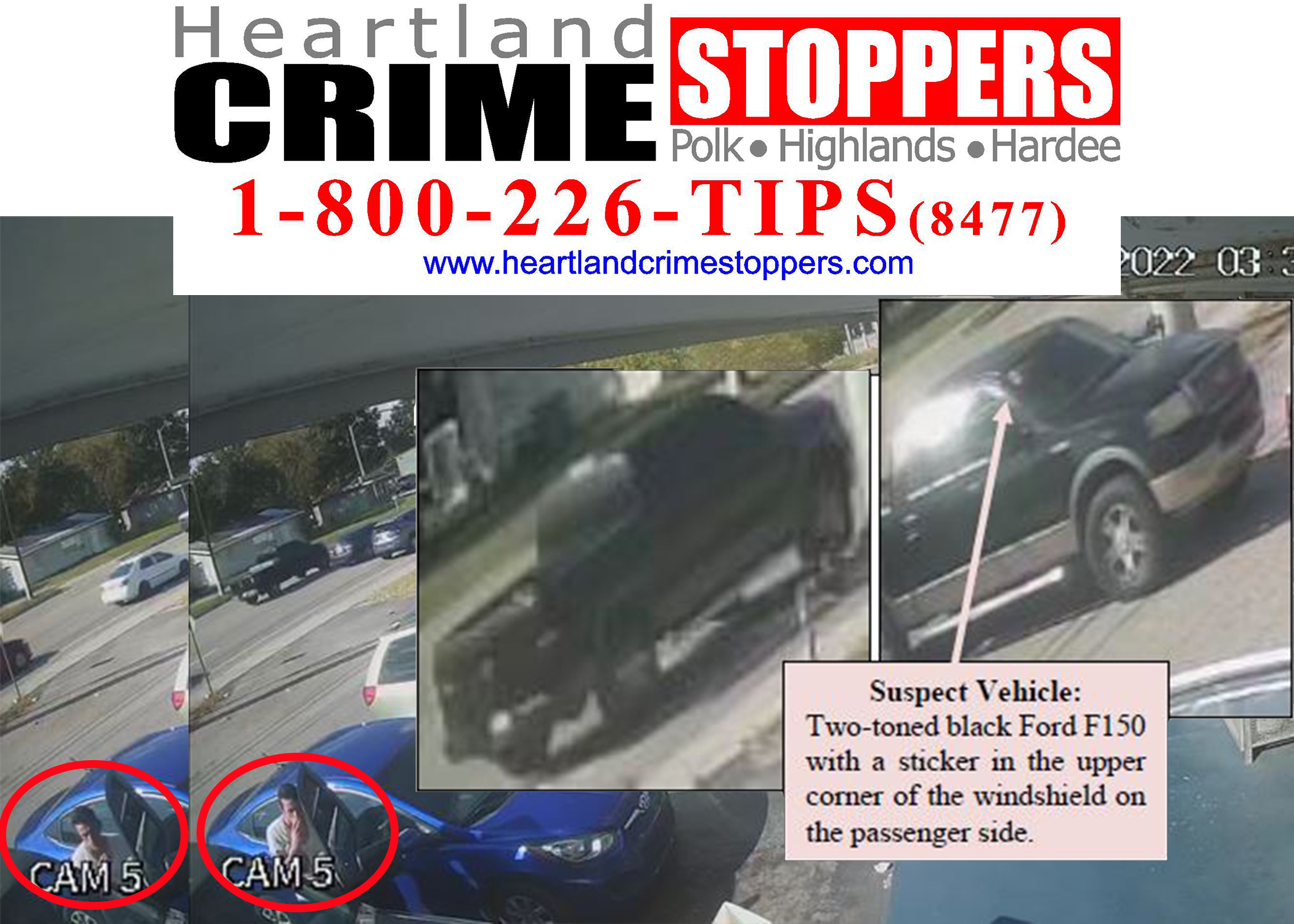 Auburndale Vehicle Burglary